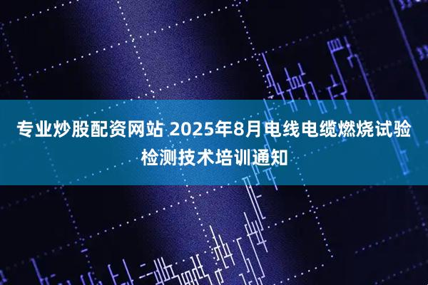 专业炒股配资网站 2025年8月电线电缆燃烧试验检测技术培训通知